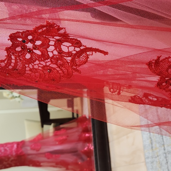 Size 2 red and nude prom/pageant/evening gown by Alyce Paris - Picture 7 of 8